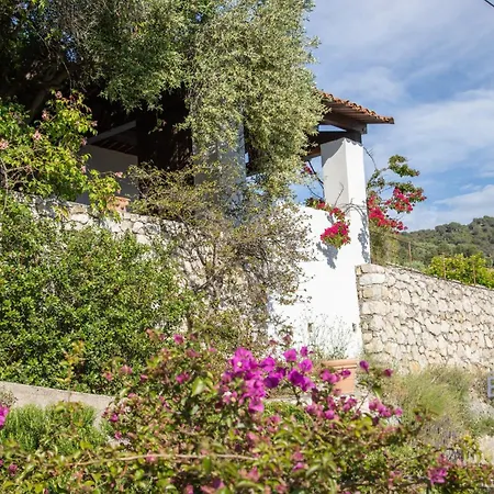 Villa Bonnard In Sea And View & Pool Nice