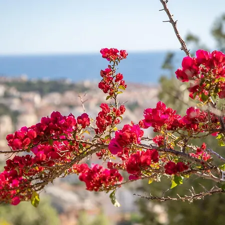 Bonnard In Sea And View & Pool Villa Nice