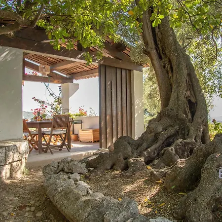 Bonnard In Sea And View & Pool * Nice