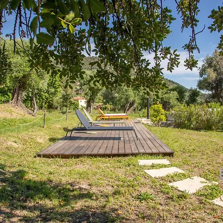 Villa Bonnard In Sea And View & Pool Nice